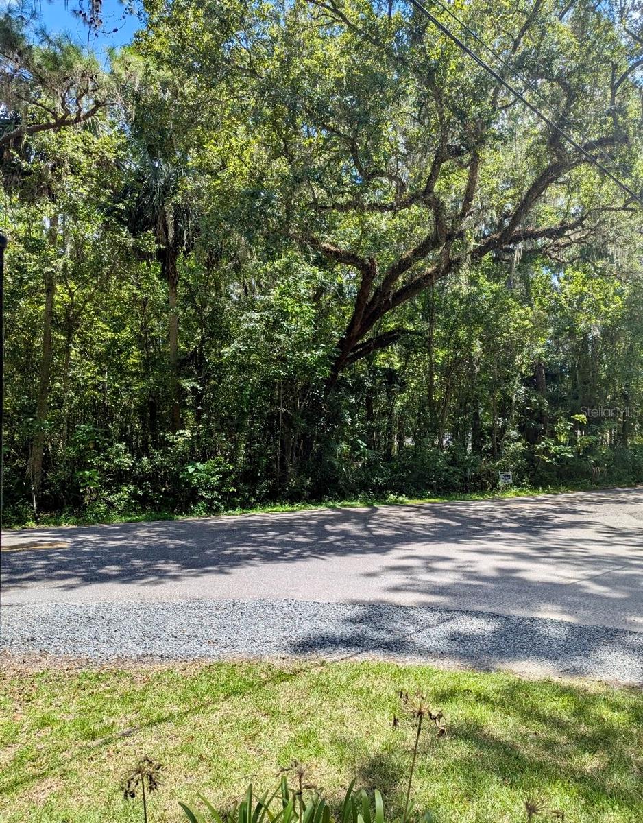 Listing Details for 7th Ave.rd Avenue, OCALA, FL 34471
