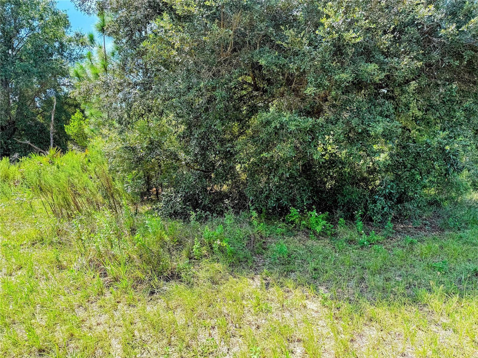 Image 13 of 16 For 9148 Fontana Way