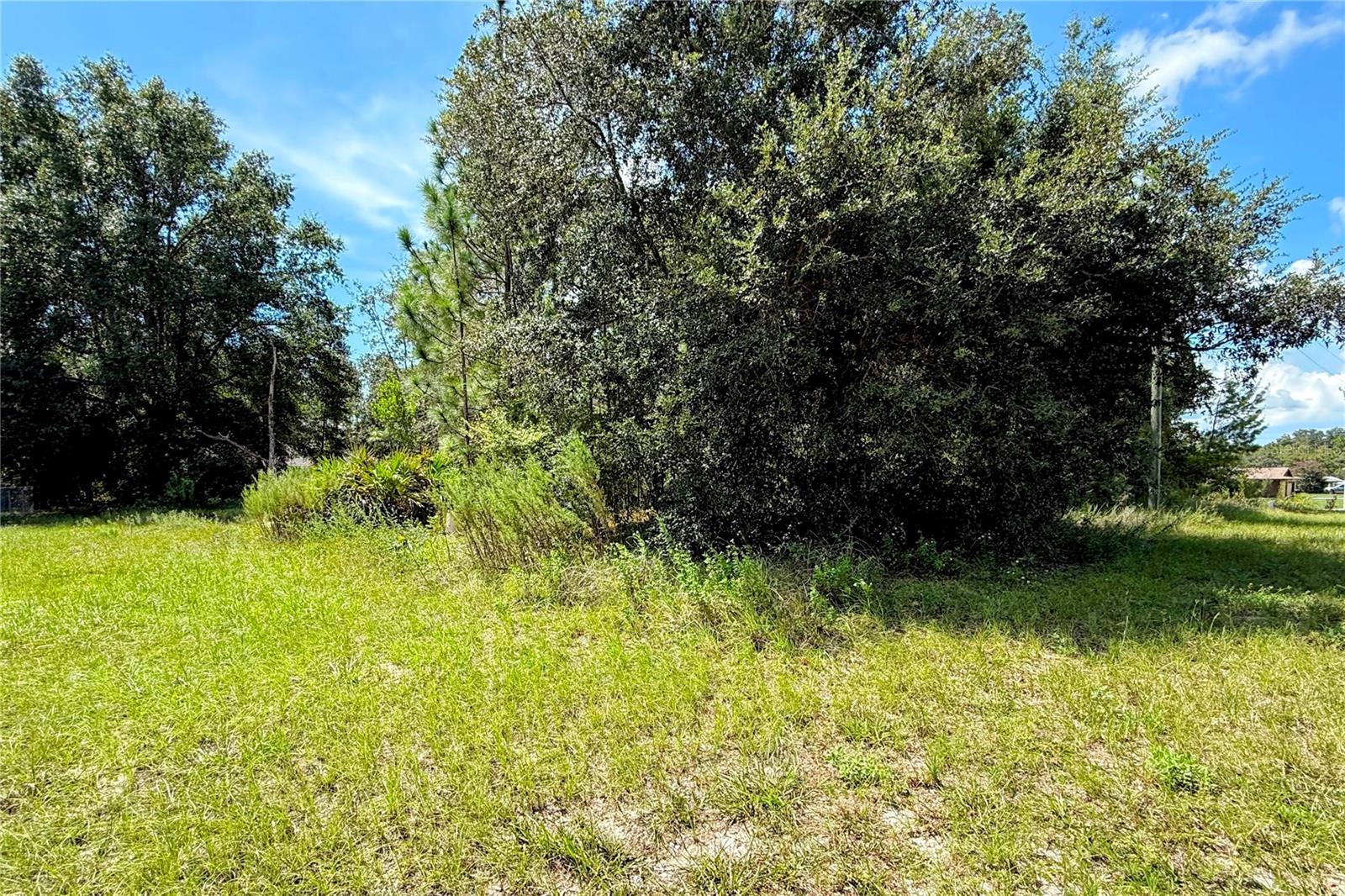 Image 15 of 16 For 9148 Fontana Way