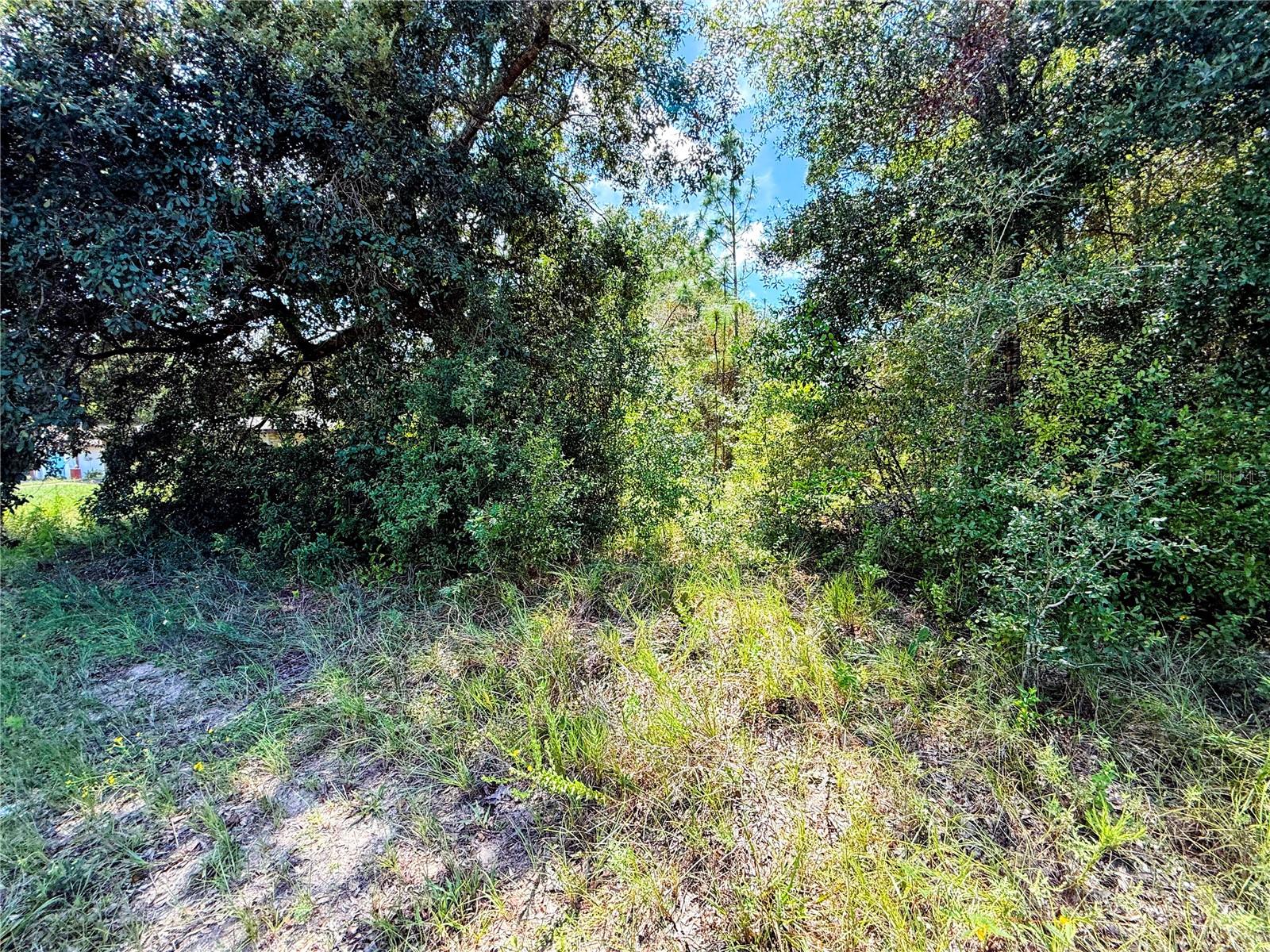 Image 7 of 16 For 9148 Fontana Way