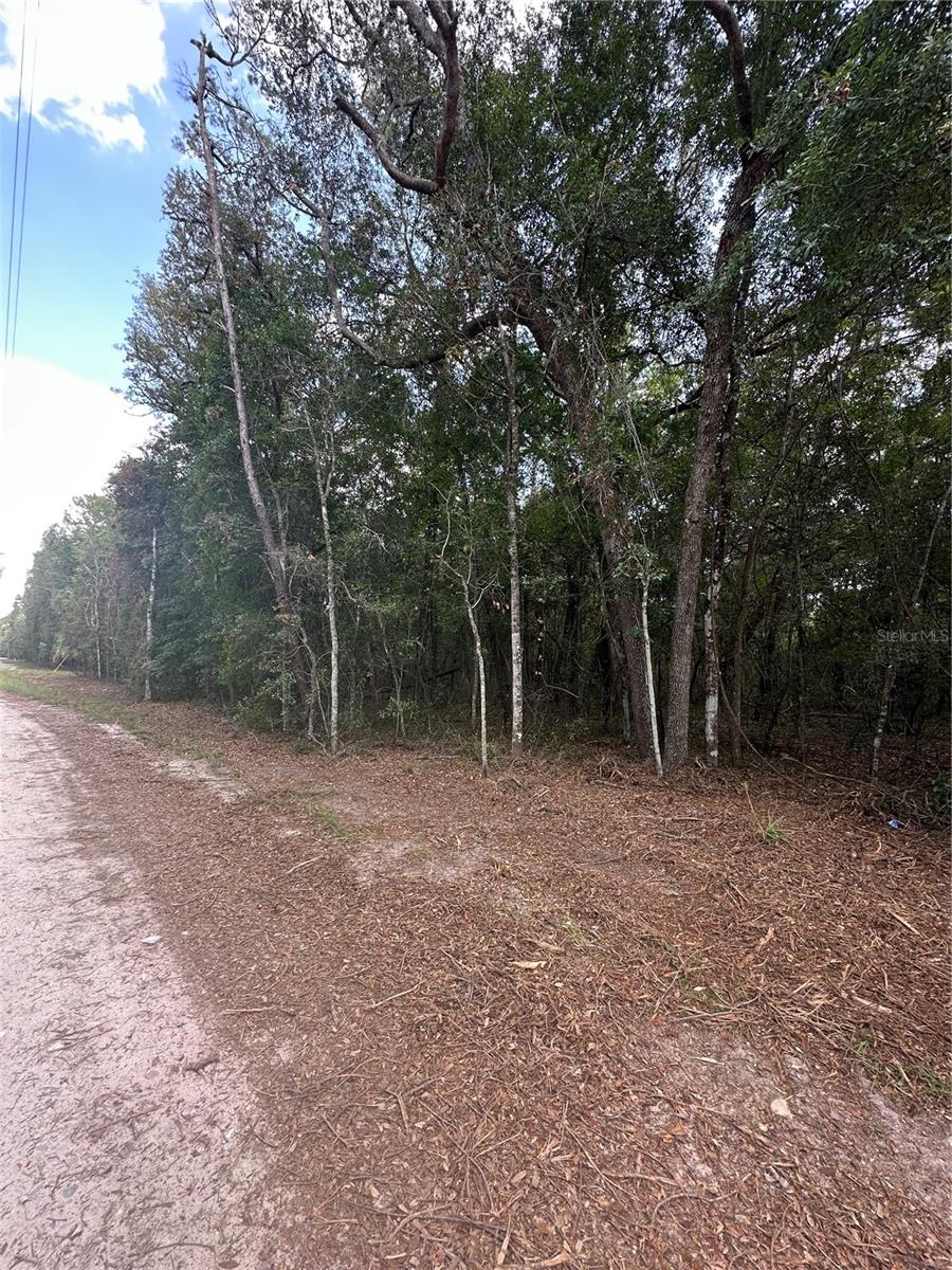 Details for Tbd 234th Place, FORT MC COY, FL 32134