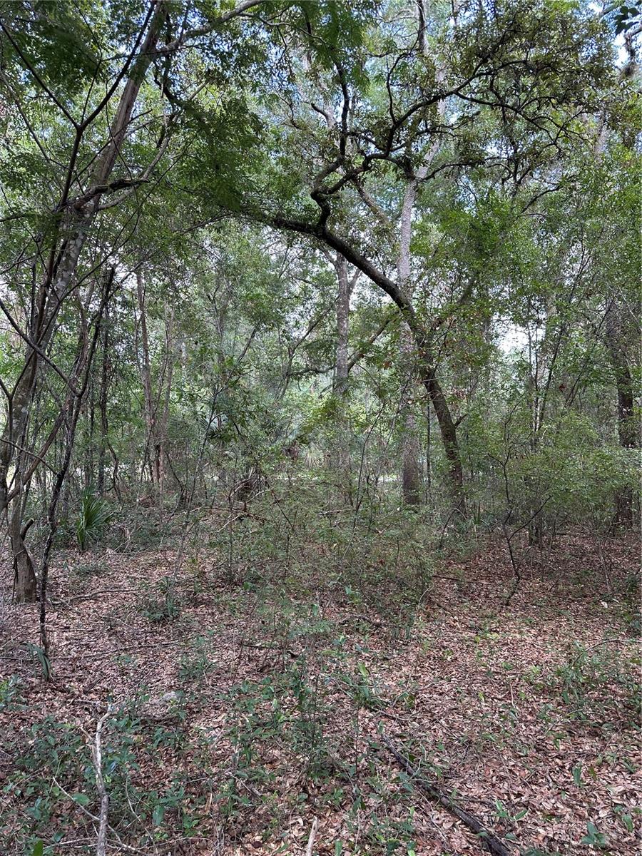 Image 11 of 11 For Tbd 234th Place