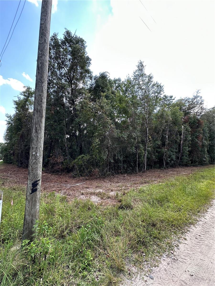 Image 8 of 11 For Tbd 234th Place
