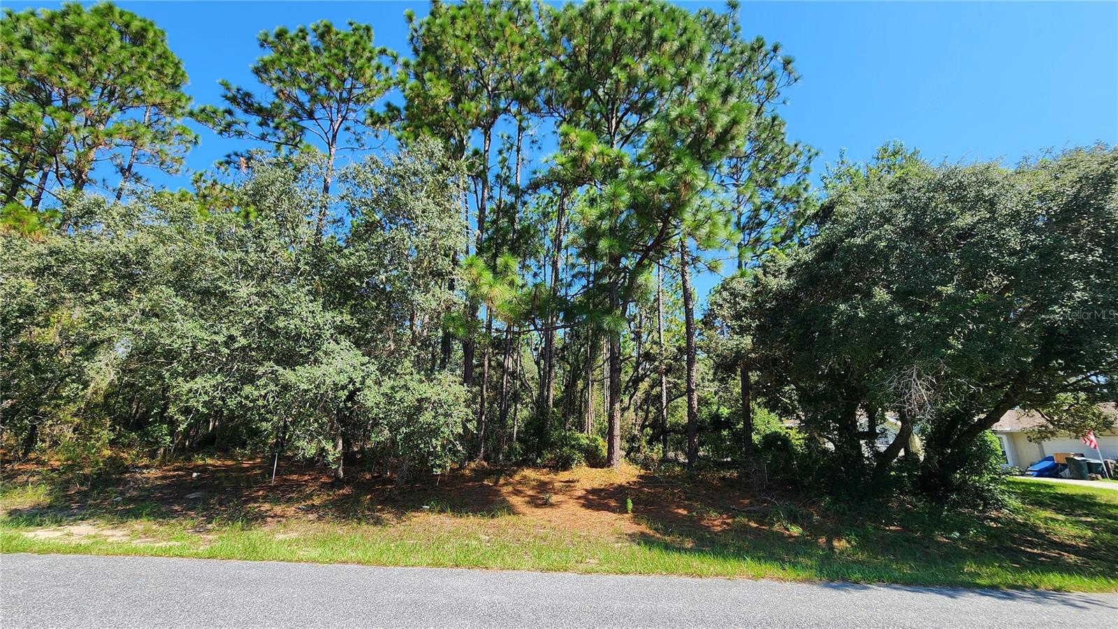 Details for 3659 Lappula Lane, CITRUS SPRINGS, FL 34433