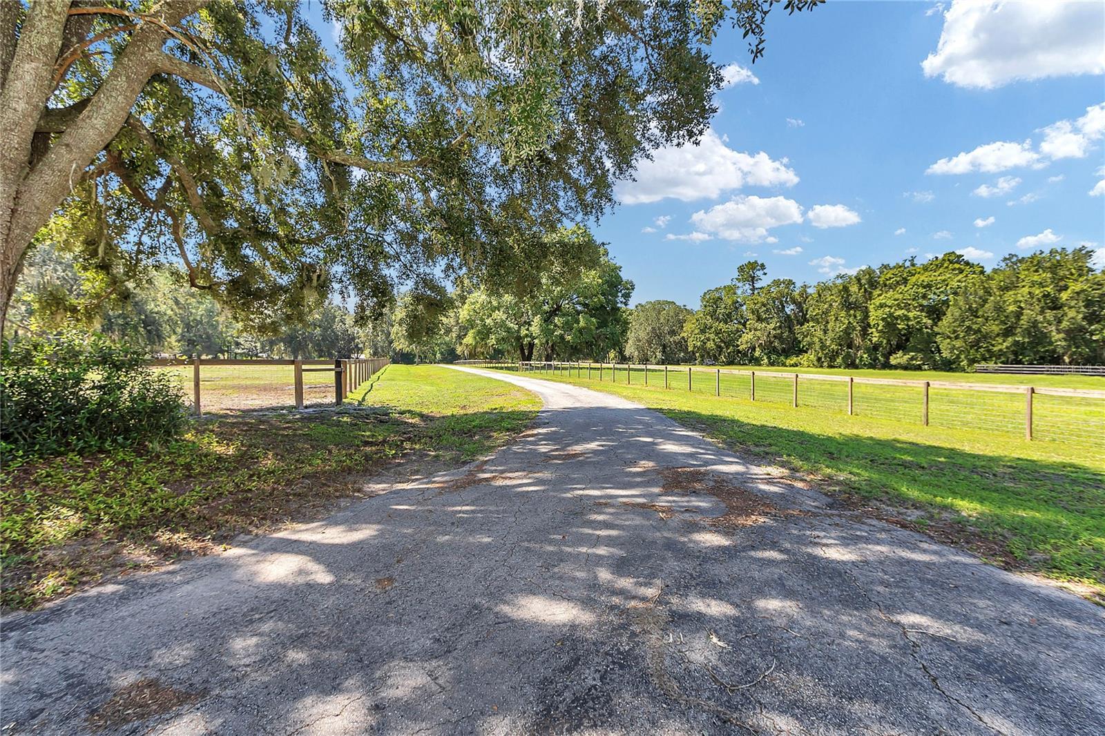 Listing photo id 55 for 1309 Bessent Road