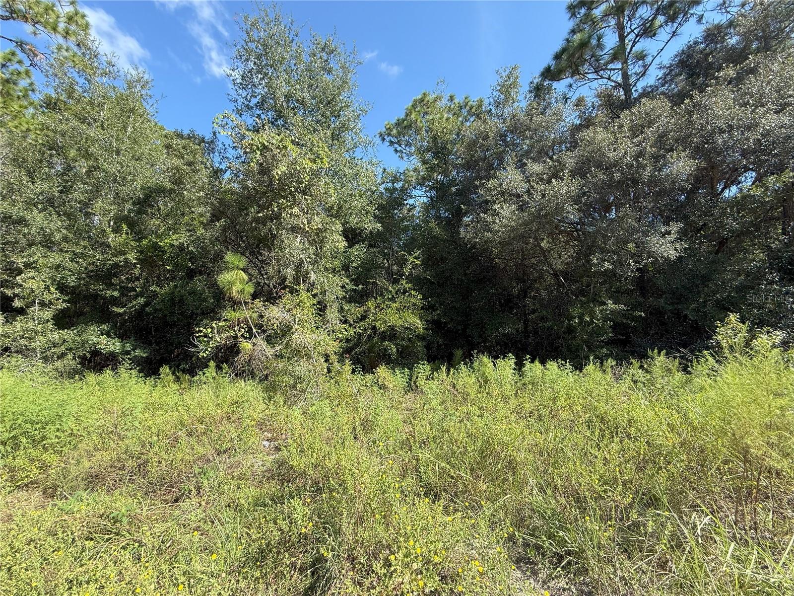 Image 3 of 4 For Tbd 40th Street