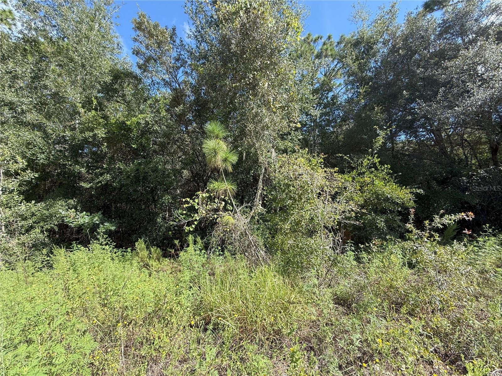 Image 4 of 4 For Tbd 40th Street