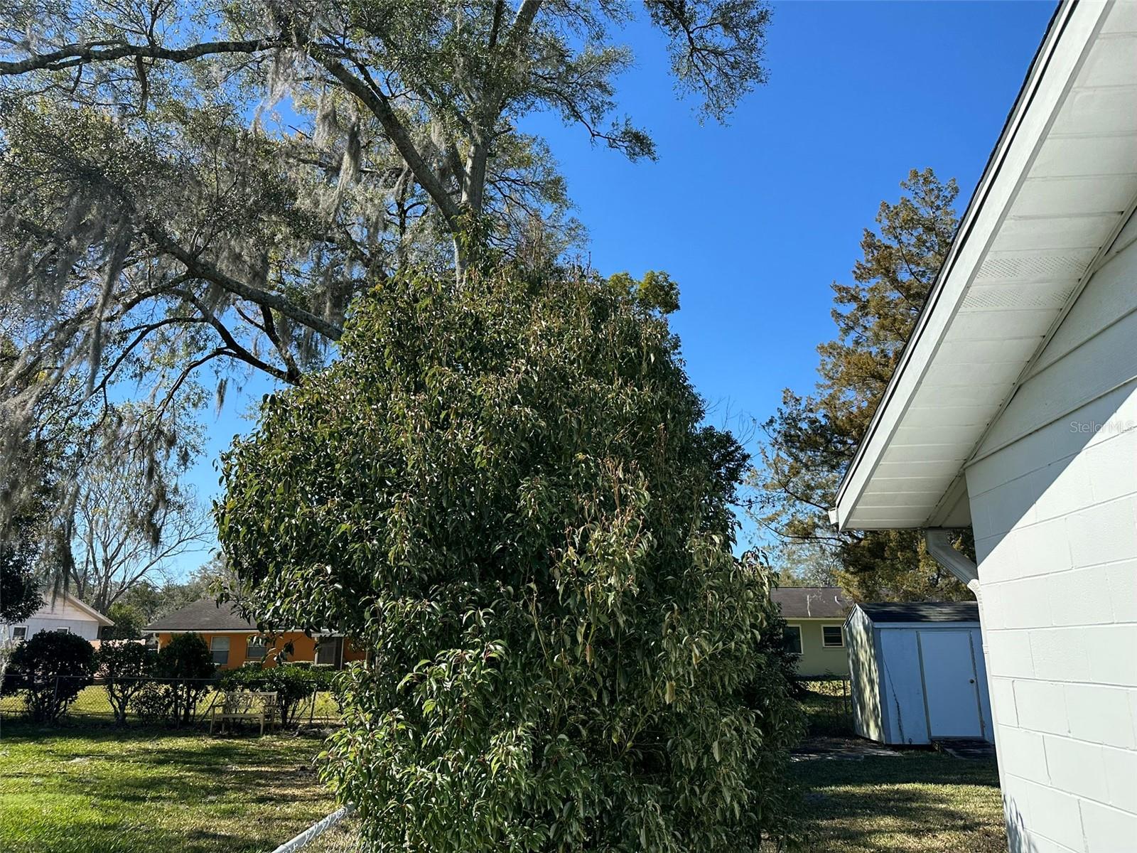 Image 7 of 51 For 1540 17th Court