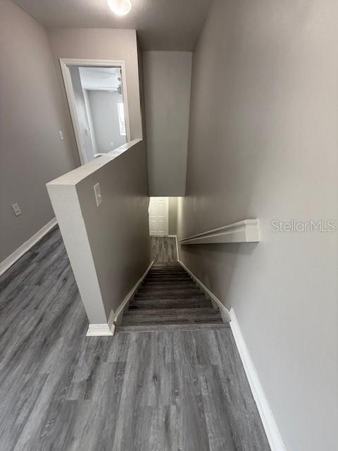 Image 11 of 12 For 20460 Needletree Drive