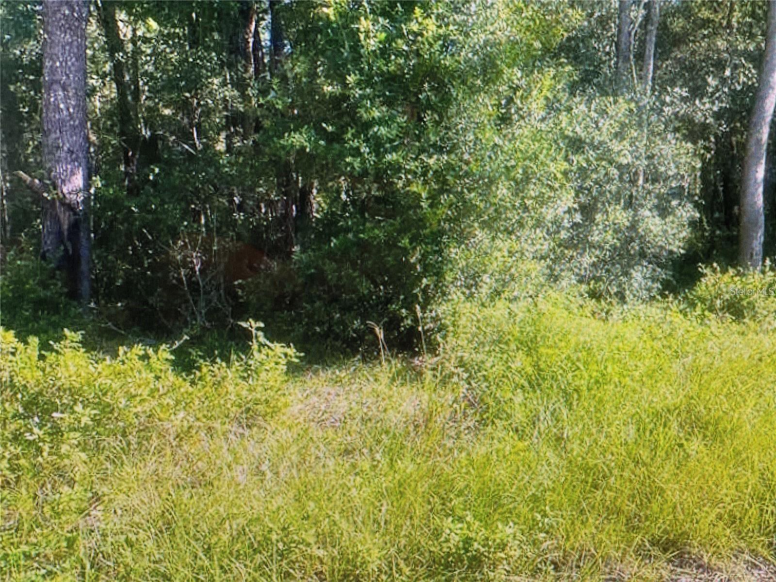 Image 2 of 2 For Tbd St Benedict Drive Lot 113 Drive