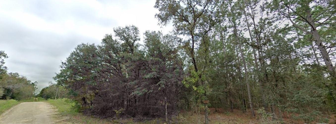 Image 7 of 7 For Tbd 16th Place