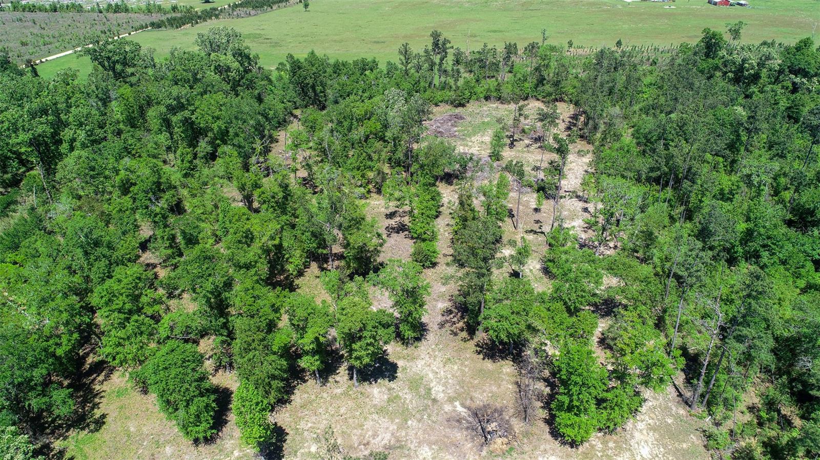 Image 85 of 100 For 7526 Weddington Road