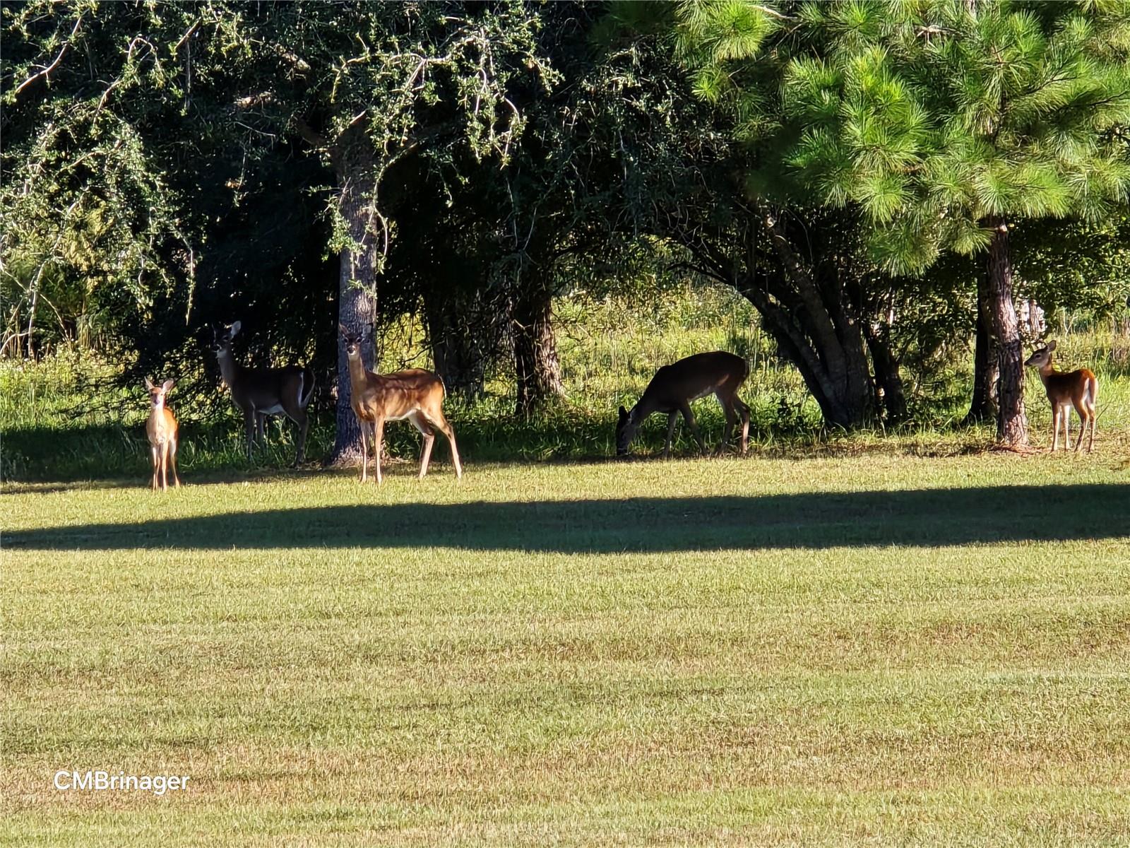 Image 95 of 100 For 7526 Weddington Road