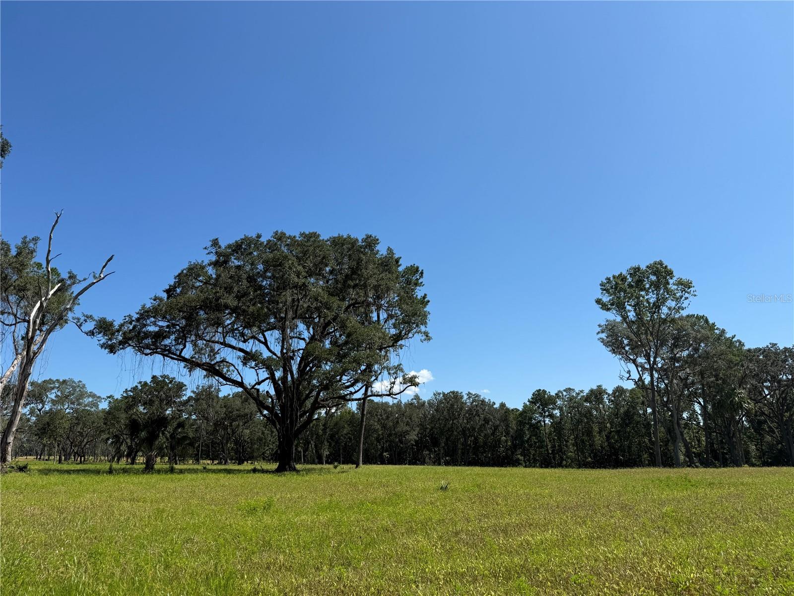 Details for Do #7 (10ac) 193rd St, MICANOPY, FL 32667