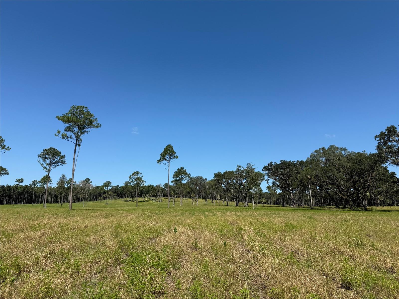 Image 5 of 13 For Do 7 10ac 193rd St