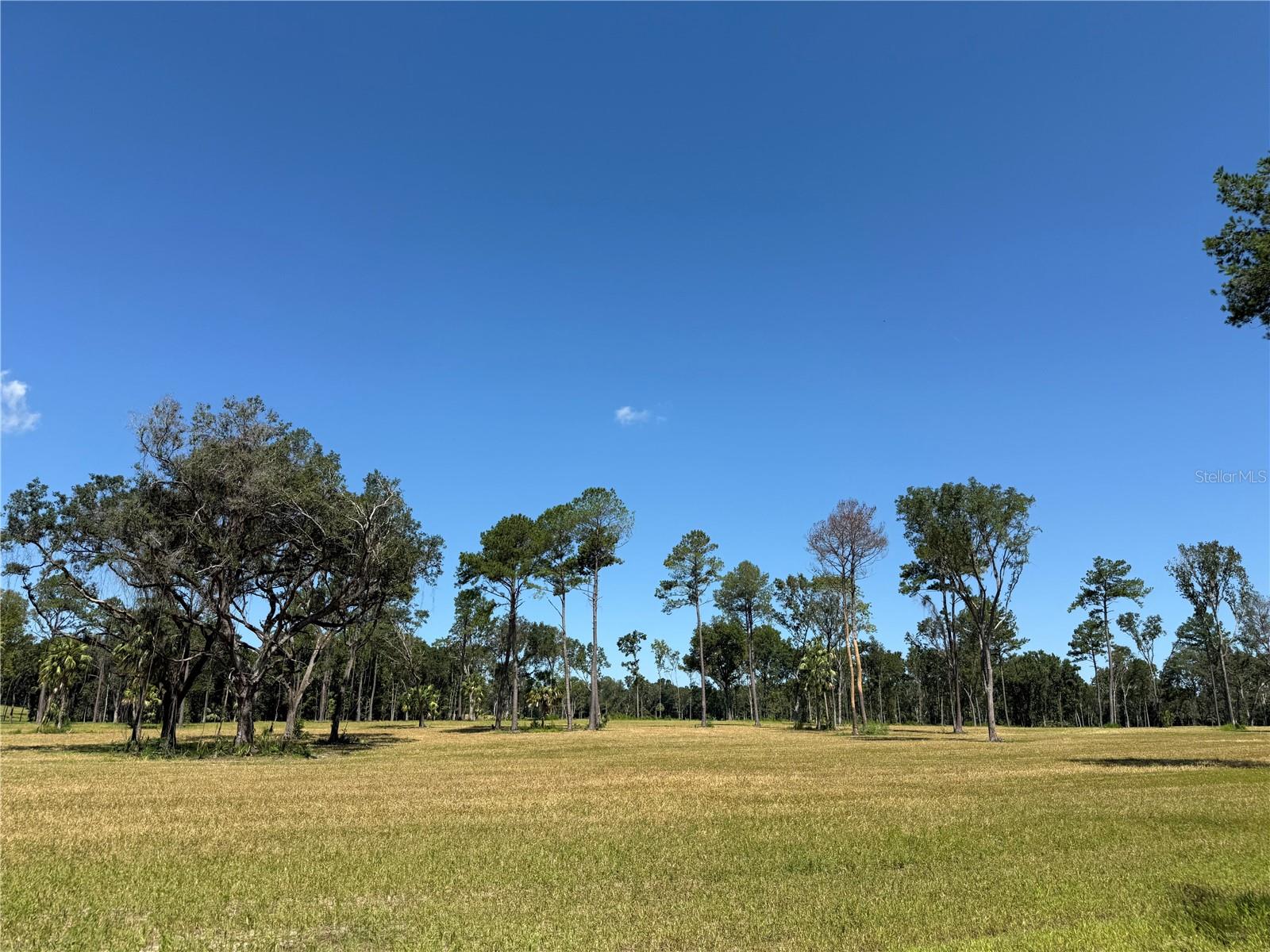 Image 8 of 13 For Do 7 10ac 193rd St