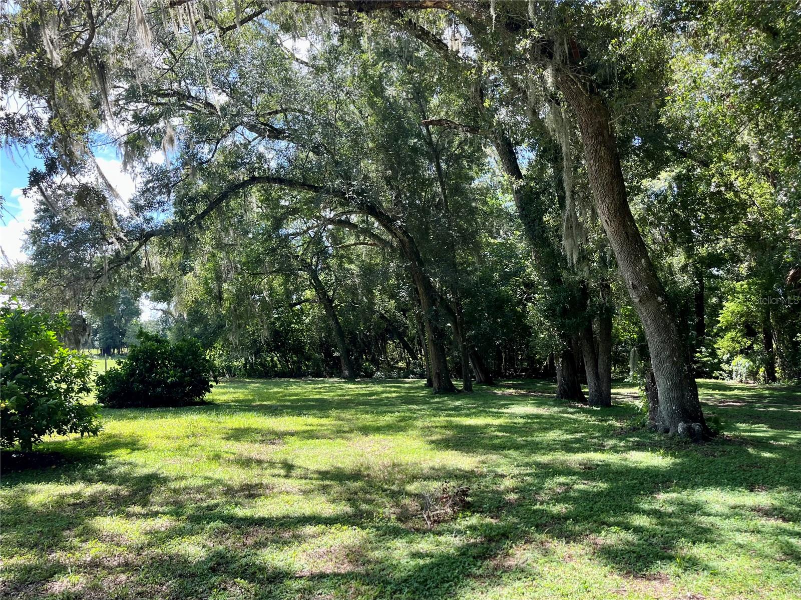 Image 24 of 47 For 8035 33rd Court