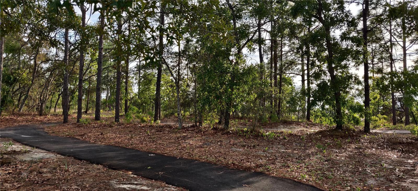 Image 13 of 13 For 5497 Ocean Breeze Drive