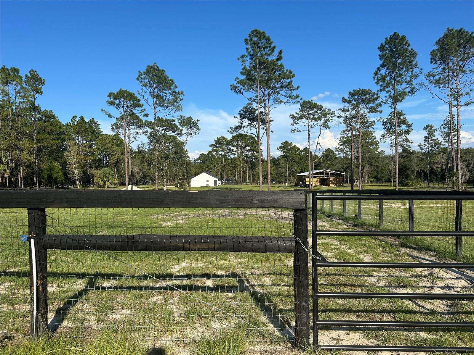 Image 16 of 29 For 11670 55th Lane