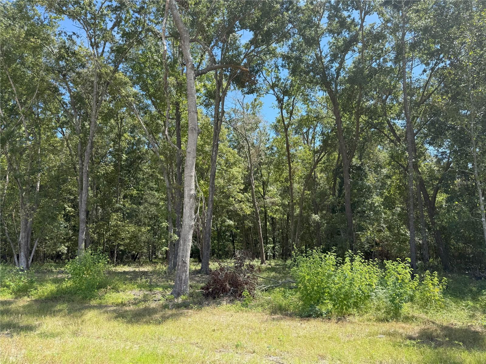 Image 3 of 6 For Do #3 (10ac) 193rd St