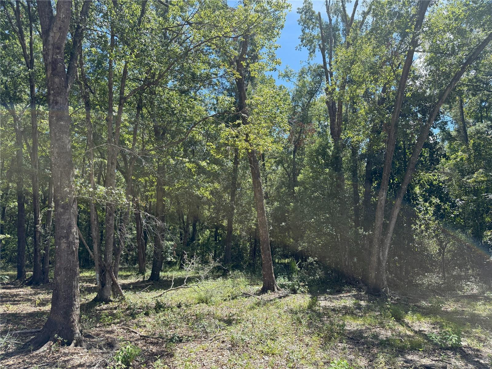 Image 4 of 6 For Do #3 (10ac) 193rd St
