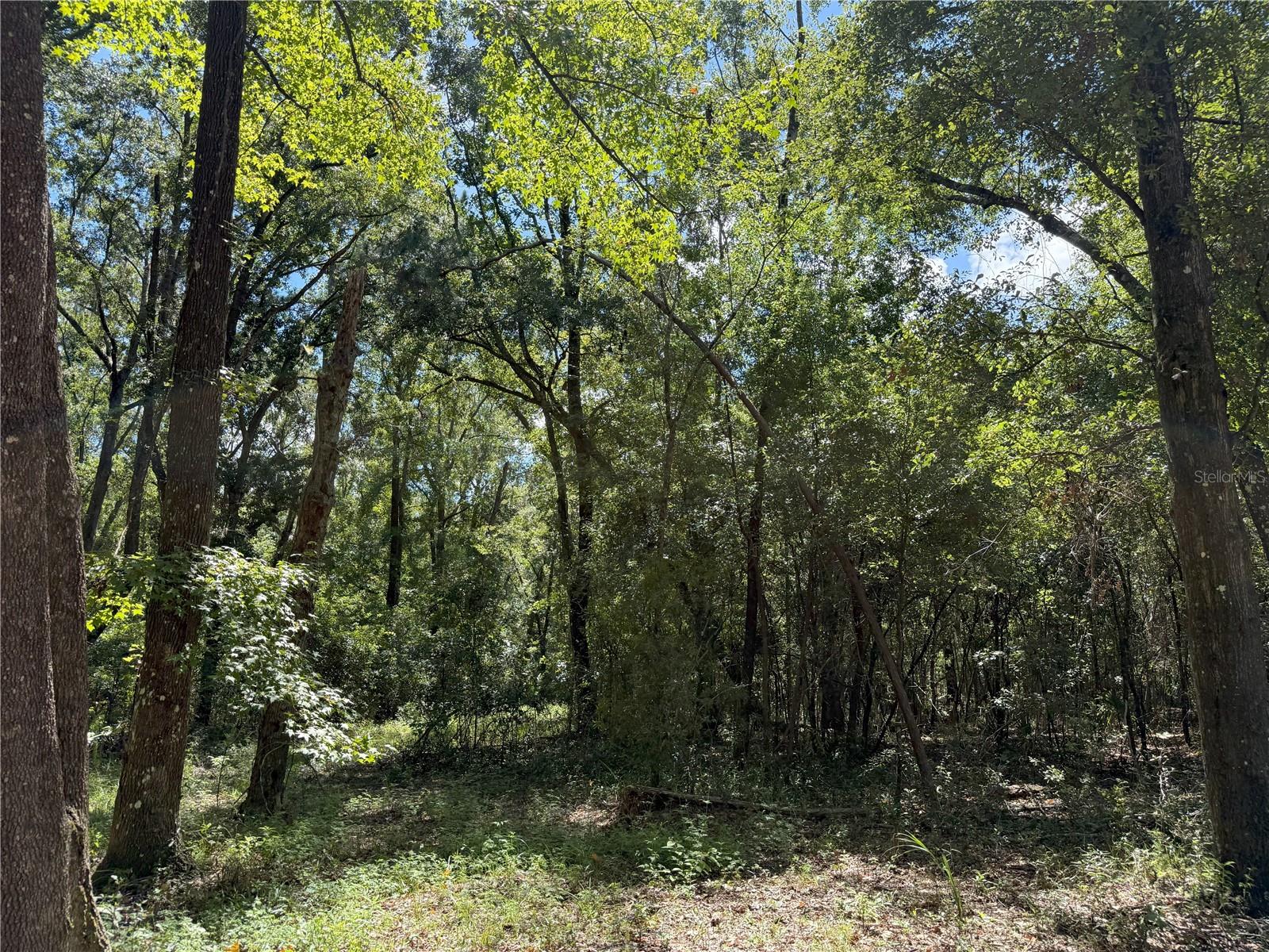 Image 5 of 6 For Do #3 (10ac) 193rd St