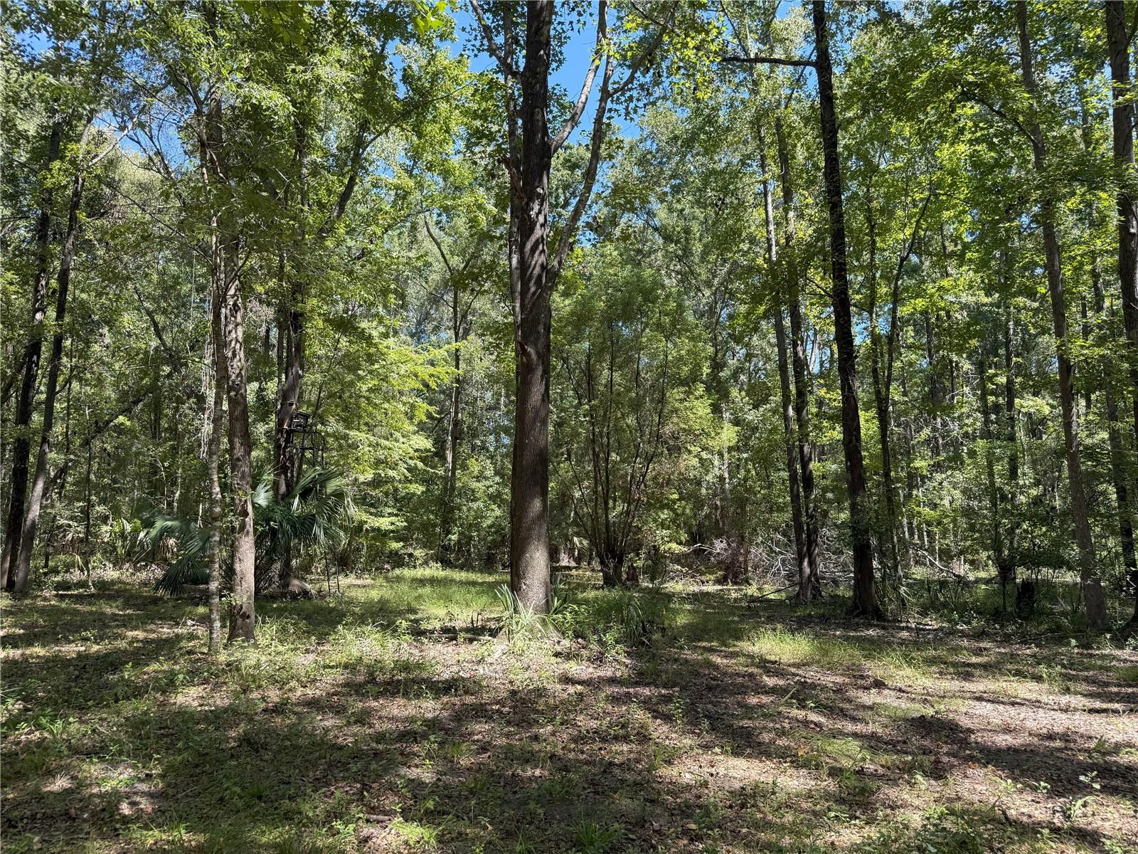 Image 6 of 6 For Do #3 (10ac) 193rd St