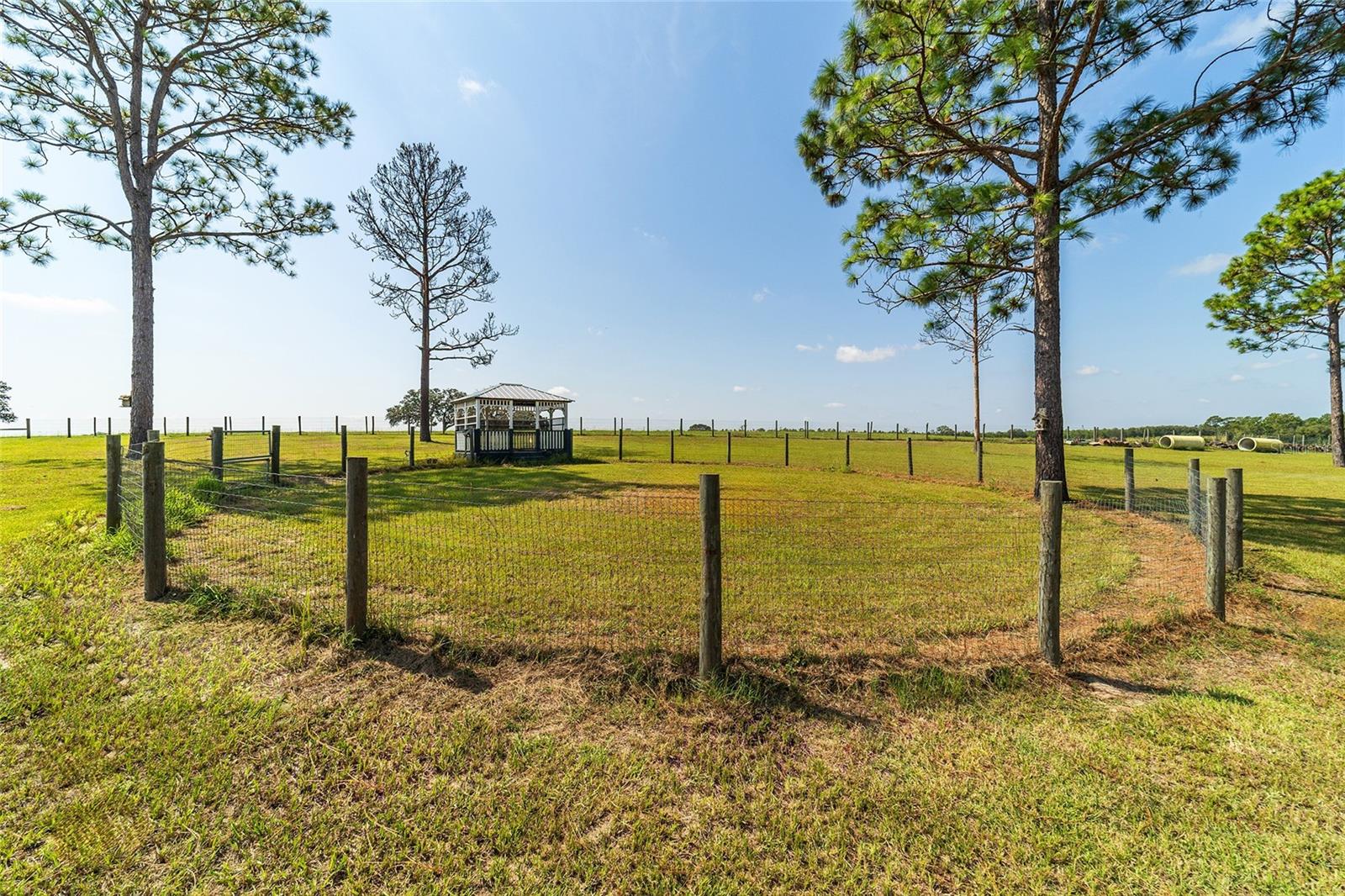 Image 96 of 100 For 13750 54th Street