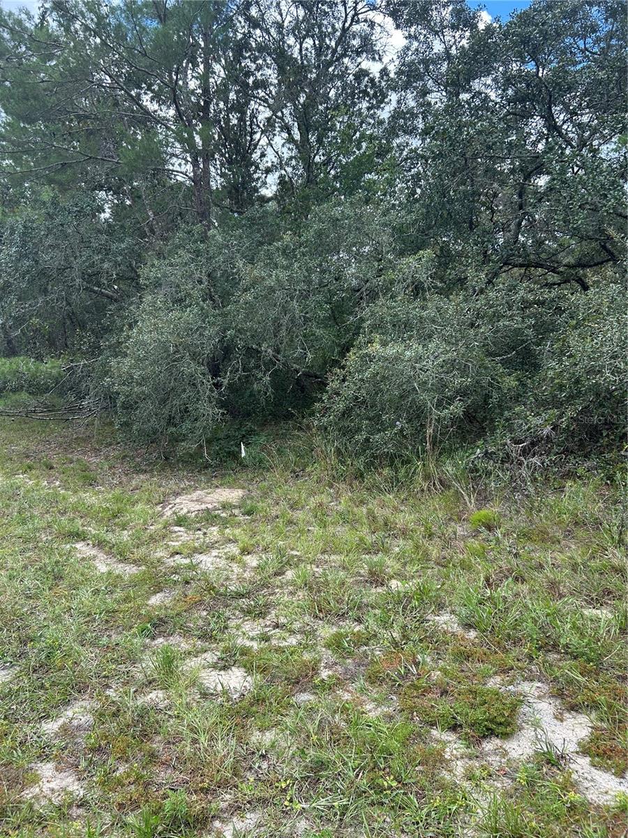 Image 3 of 4 For 00 27th Circle