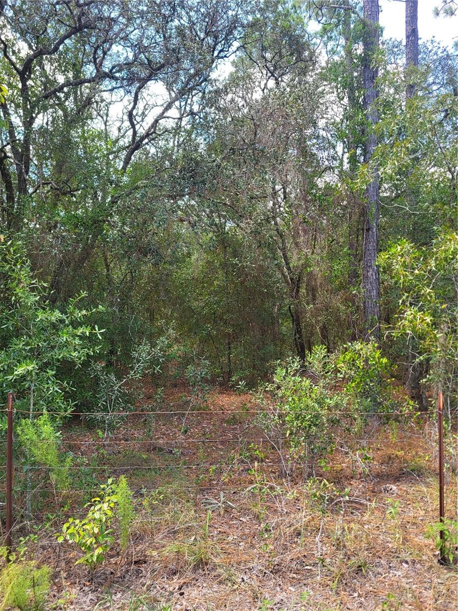 Image 2 of 4 For 178th Terrace