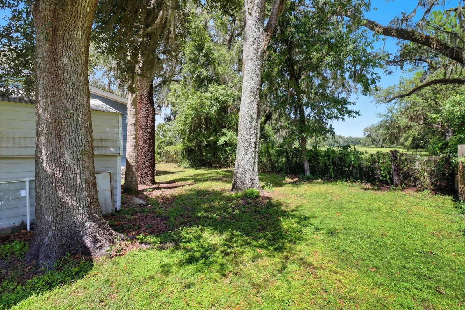 Image 36 of 46 For 22565 117th Street