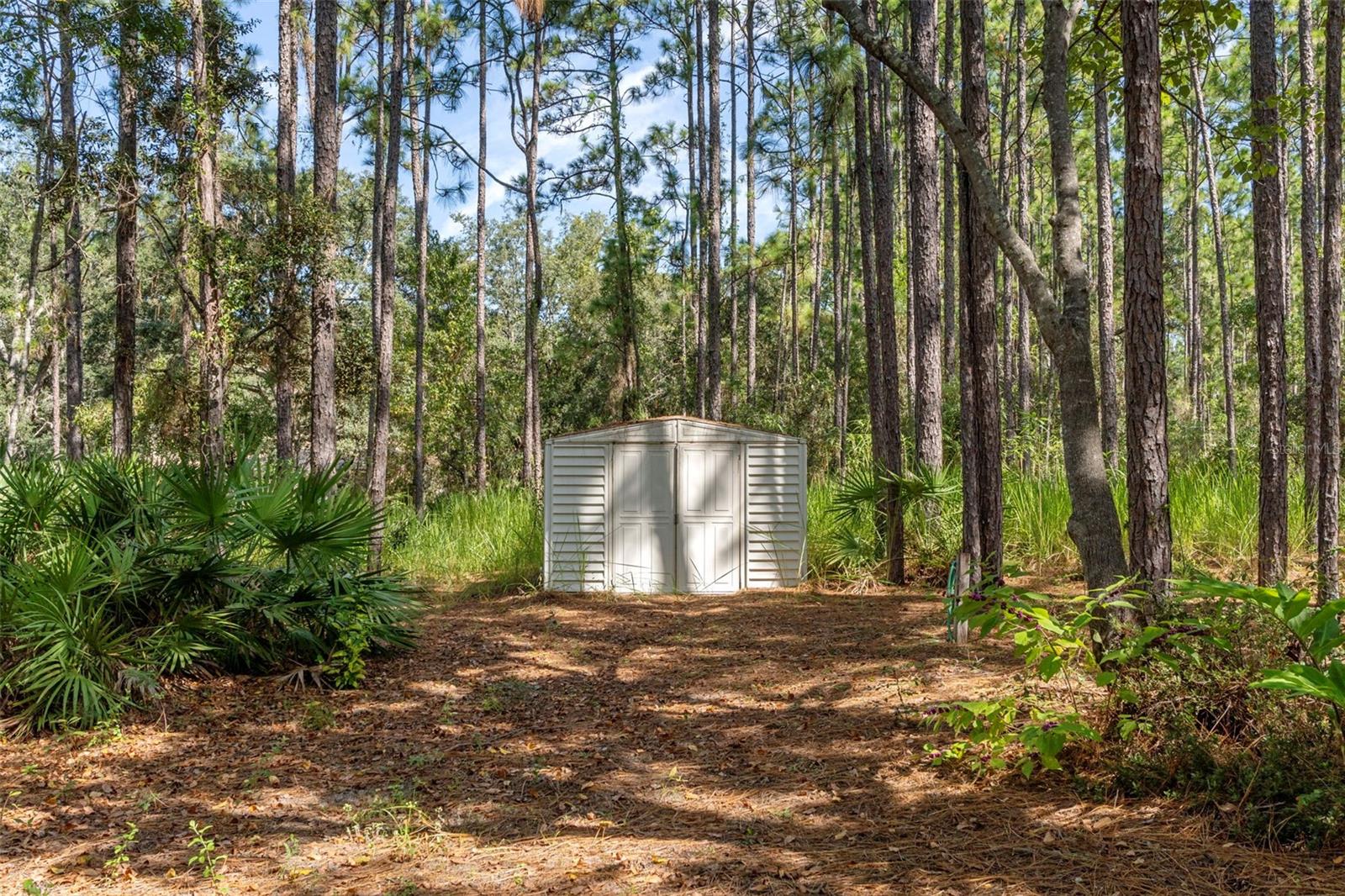Image 62 of 62 For 4881 Phoenix Drive
