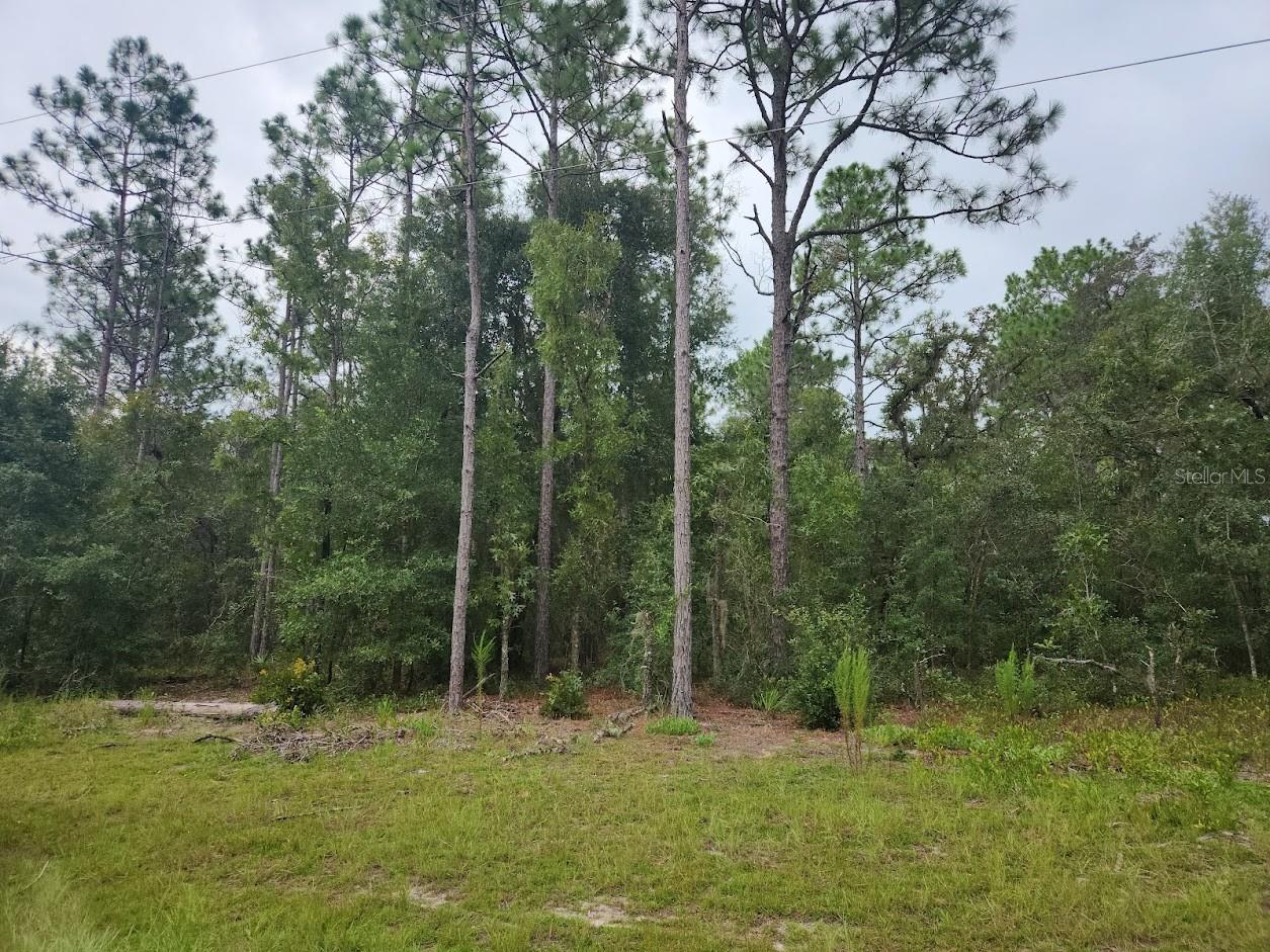 Details for Lot 24 89th Circle, OCALA, FL 34473
