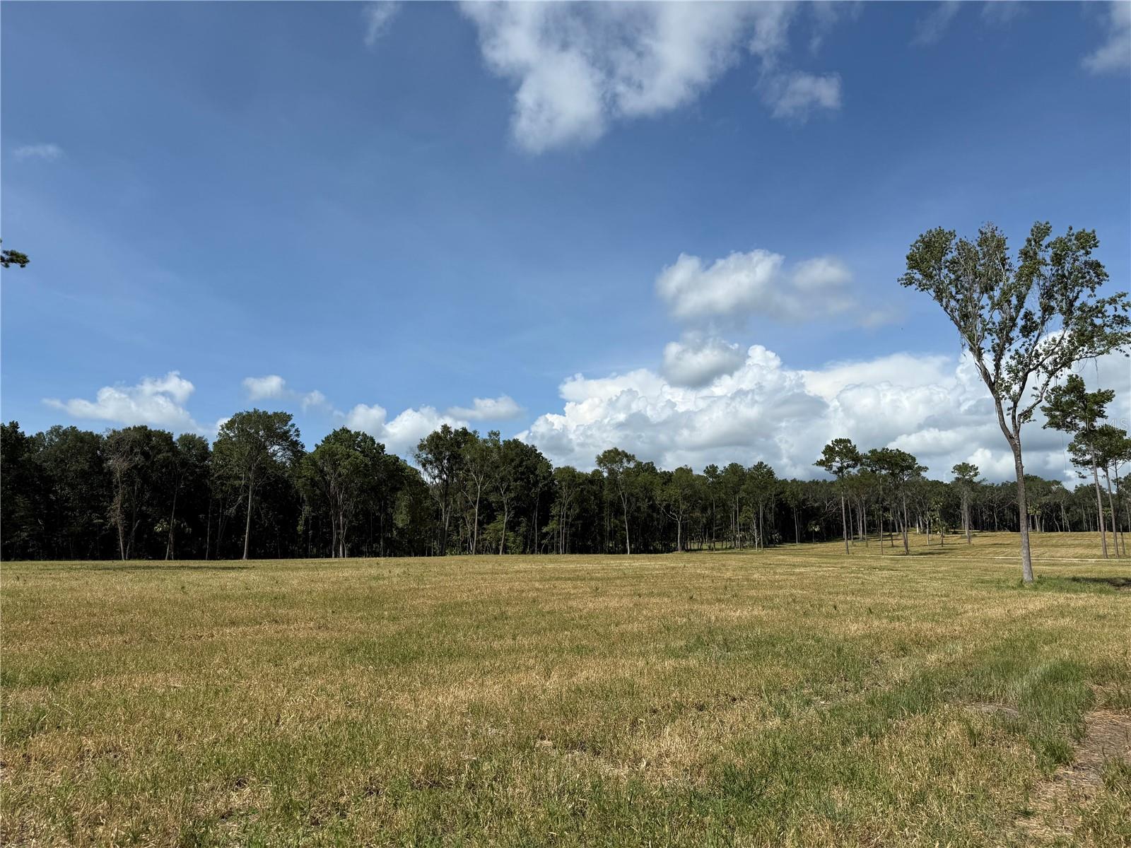 Image 10 of 14 For Do 8 10ac 193rd St