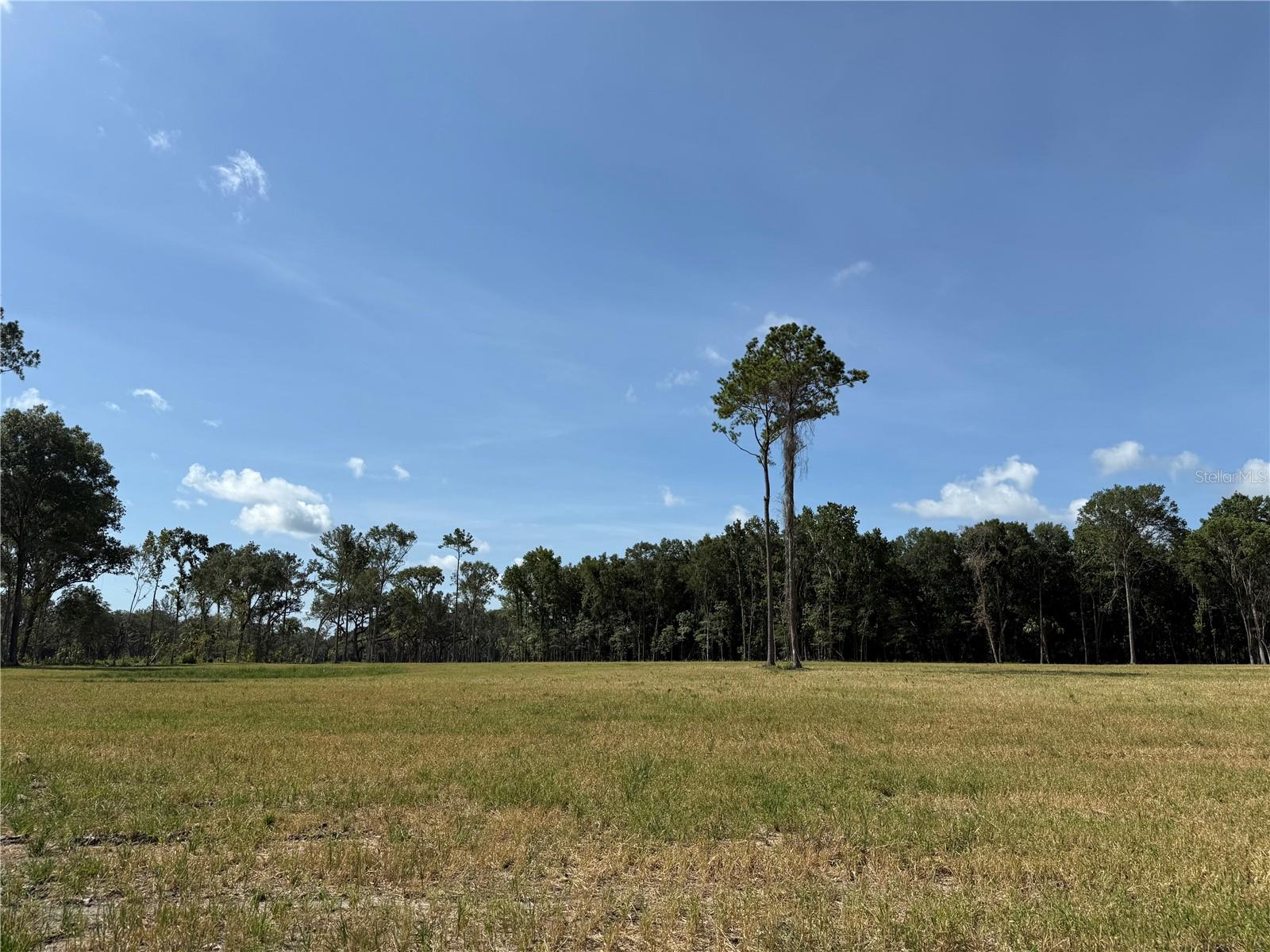 Image 11 of 14 For Do 8 10ac 193rd St