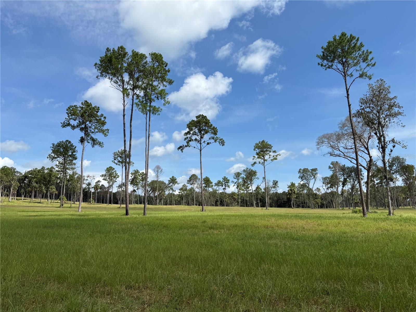 Image 13 of 14 For Do 8 10ac 193rd St