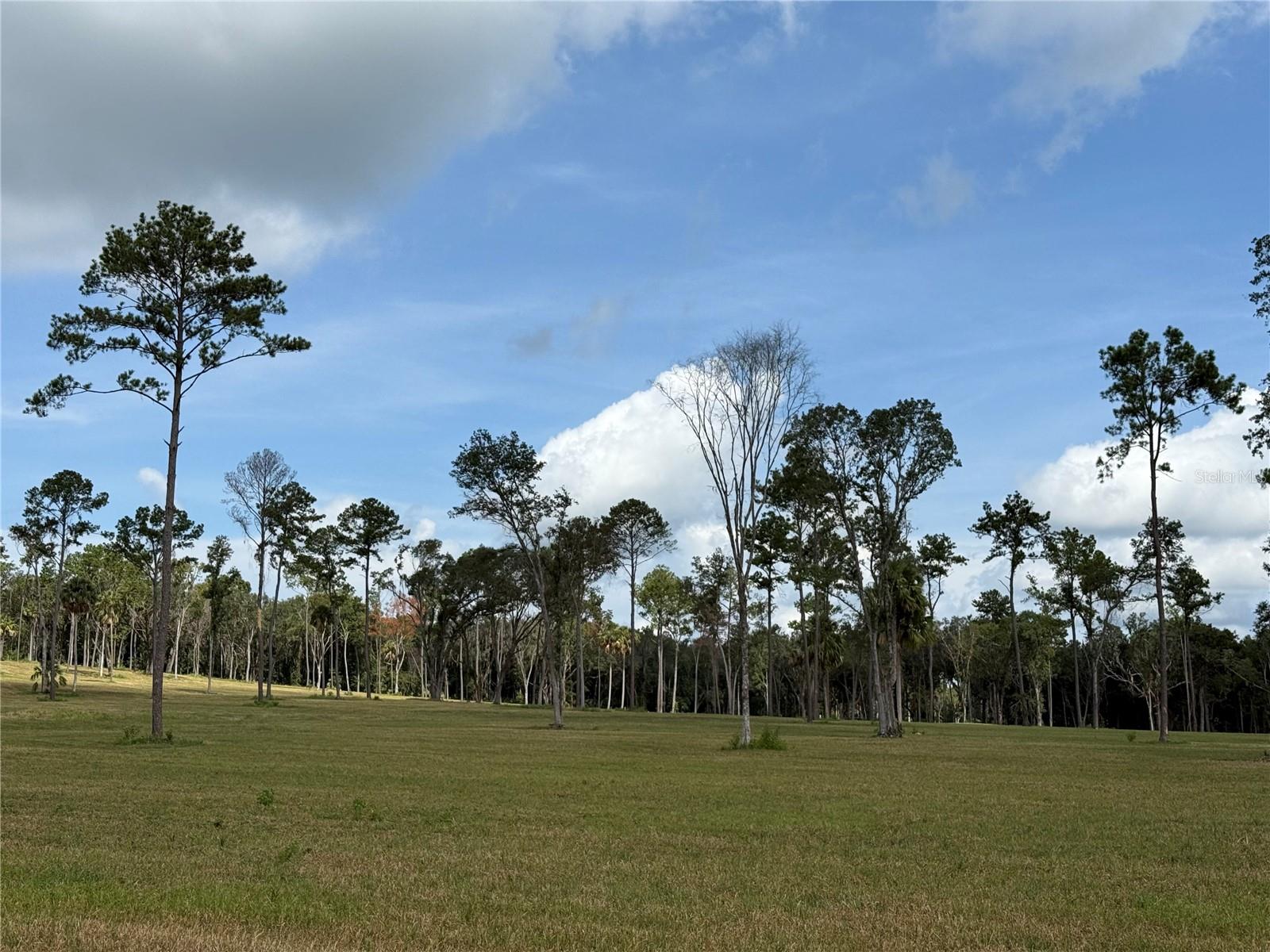 Image 14 of 14 For Do 8 10ac 193rd St