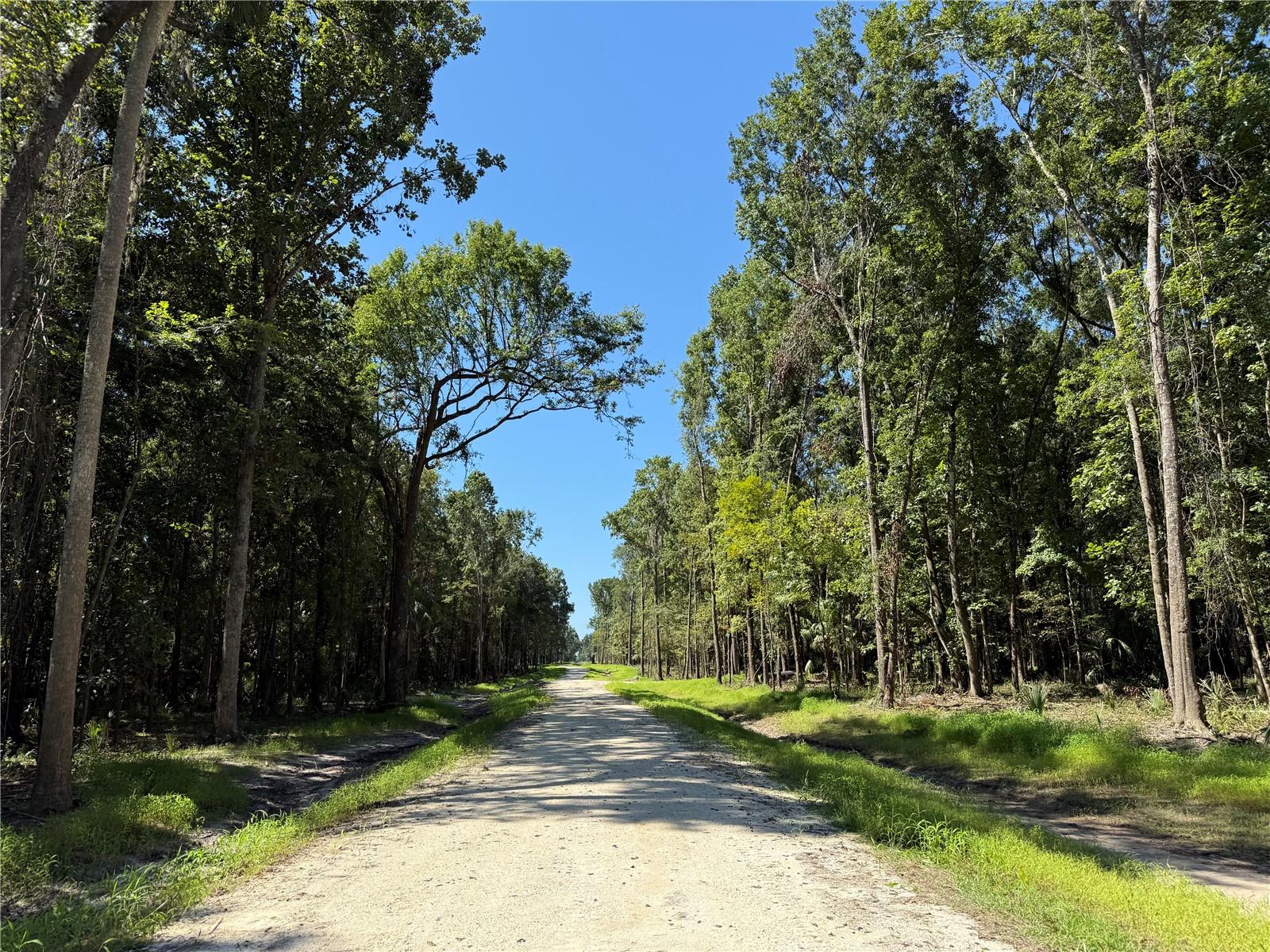 Image 2 of 14 For Do 8 10ac 193rd St