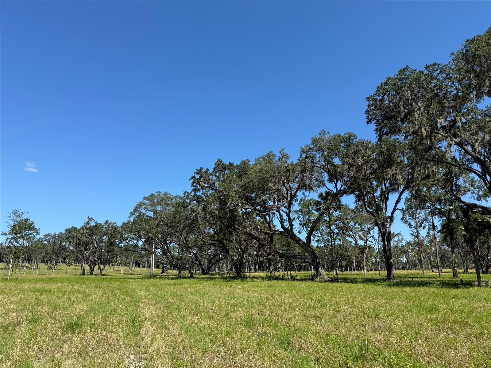 Image 6 of 14 For Do 8 10ac 193rd St
