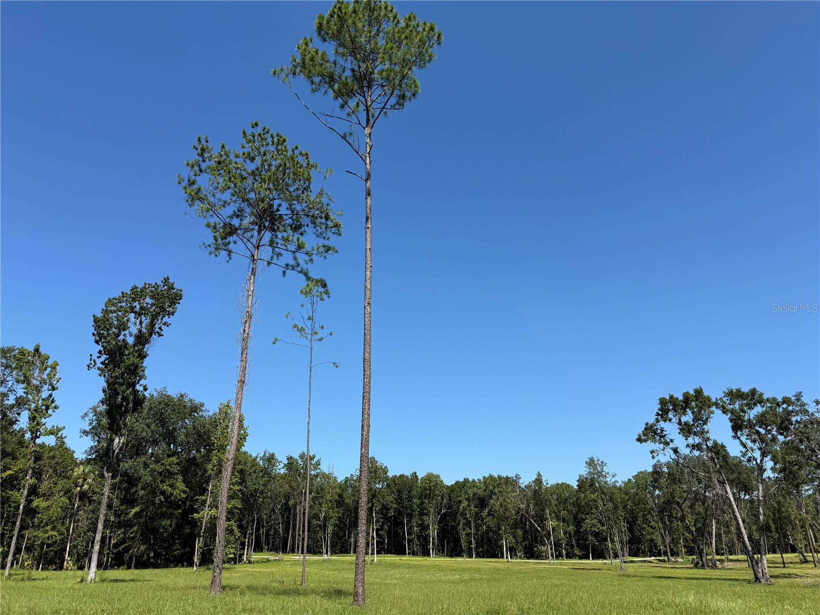 Image 9 of 14 For Do 8 10ac 193rd St