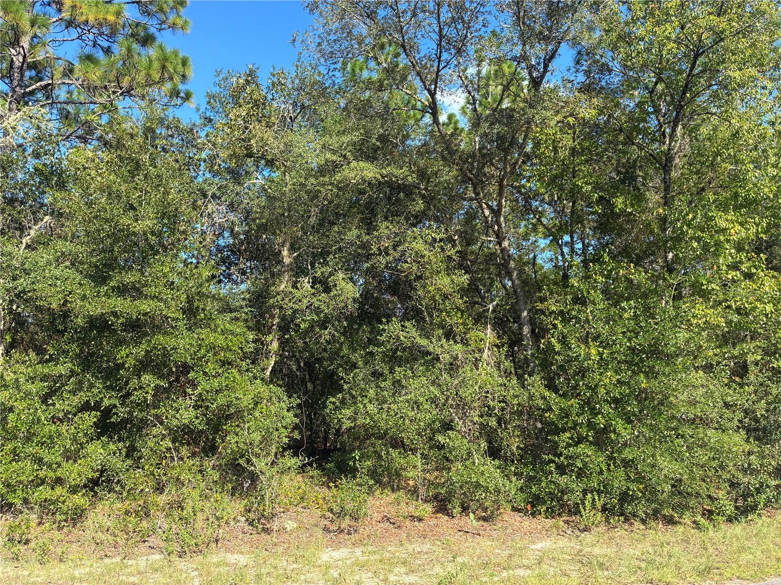 Details for Seaweed Avenue, DUNNELLON, FL 34430