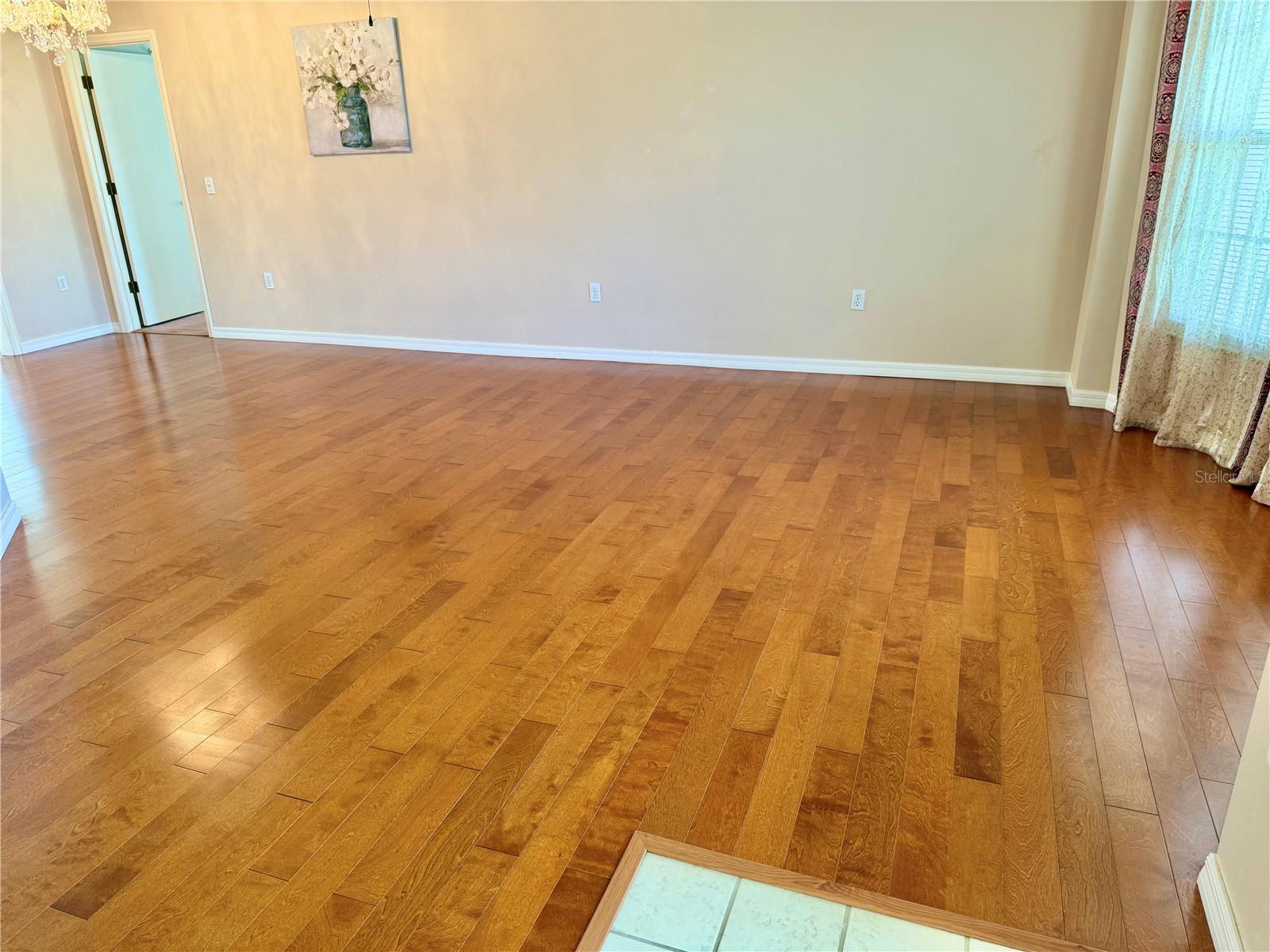 Image 11 of 58 For 6157 Silver Palm Way