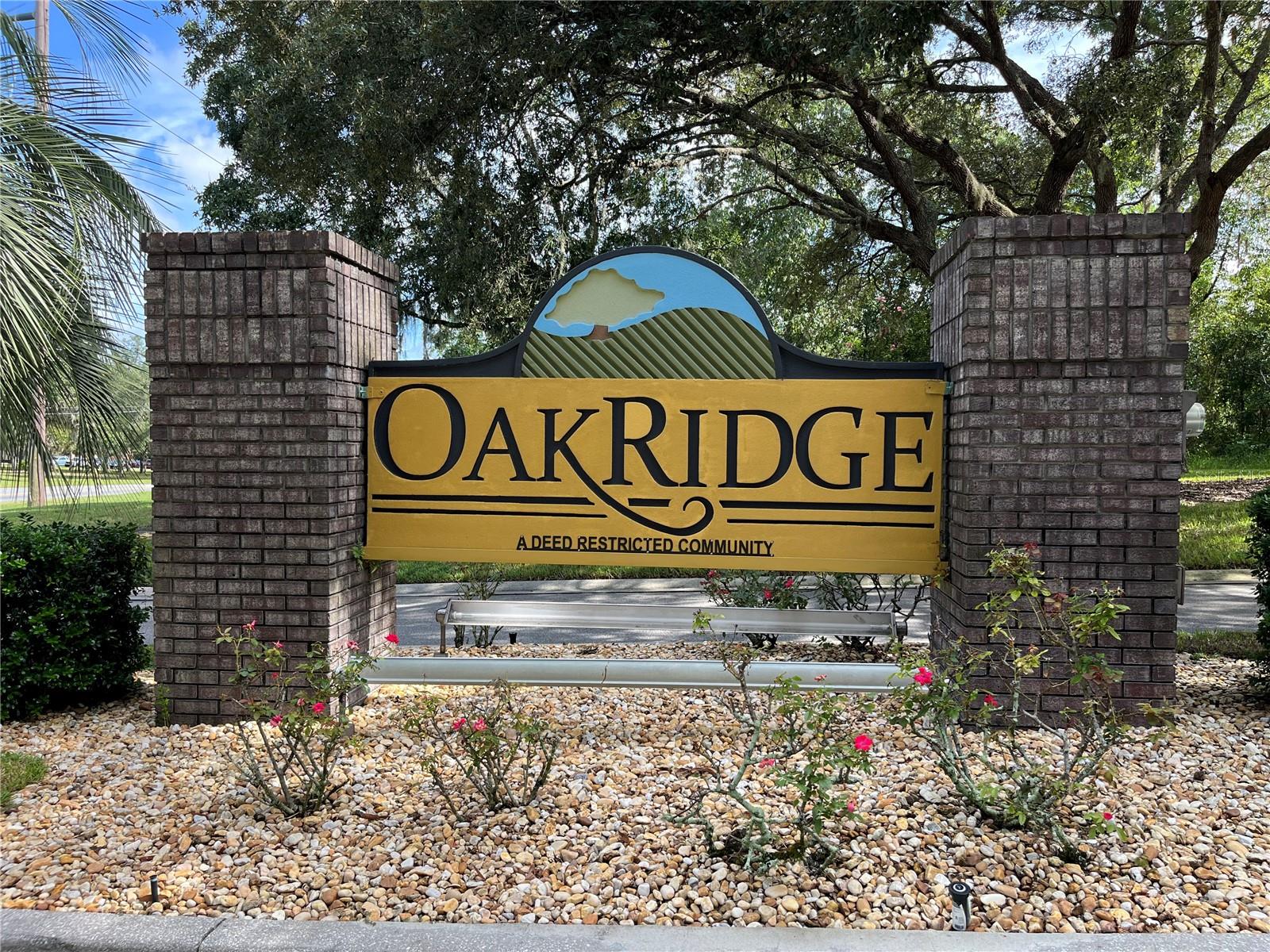 Image 4 of 58 For 6157 Silver Palm Way