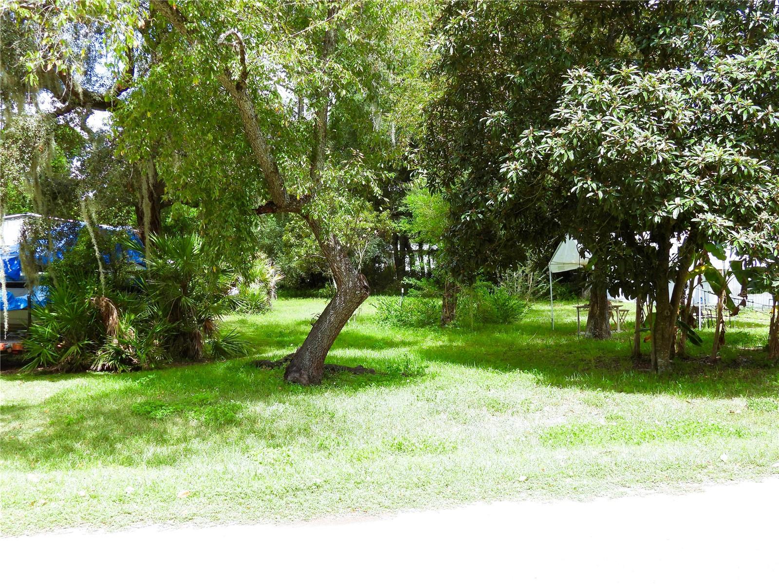 Details for  21st Place , SILVER SPRINGS, FL 34488