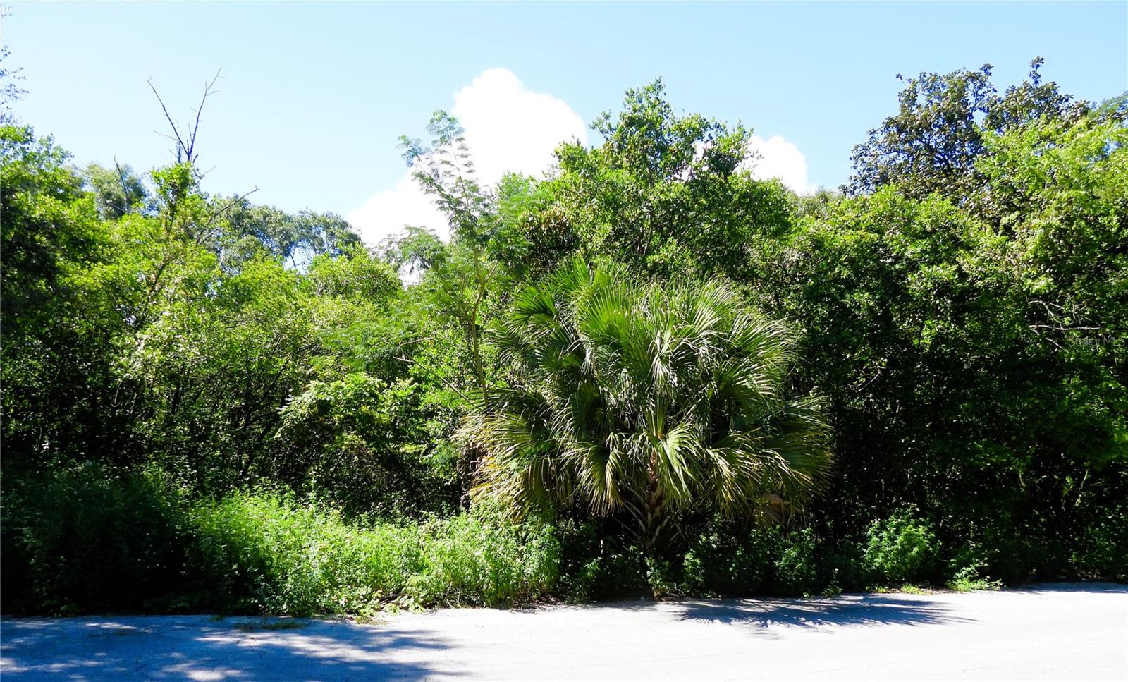 Details for  130th Place , OCKLAWAHA, FL 32179
