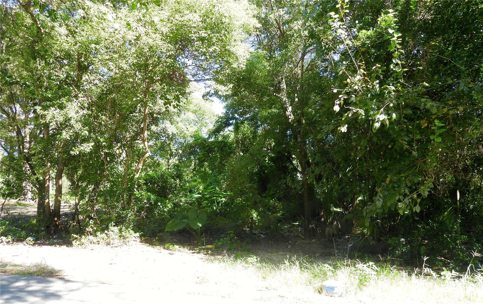 Listing Details for  198 Terrace , DUNNELLON, FL 34432