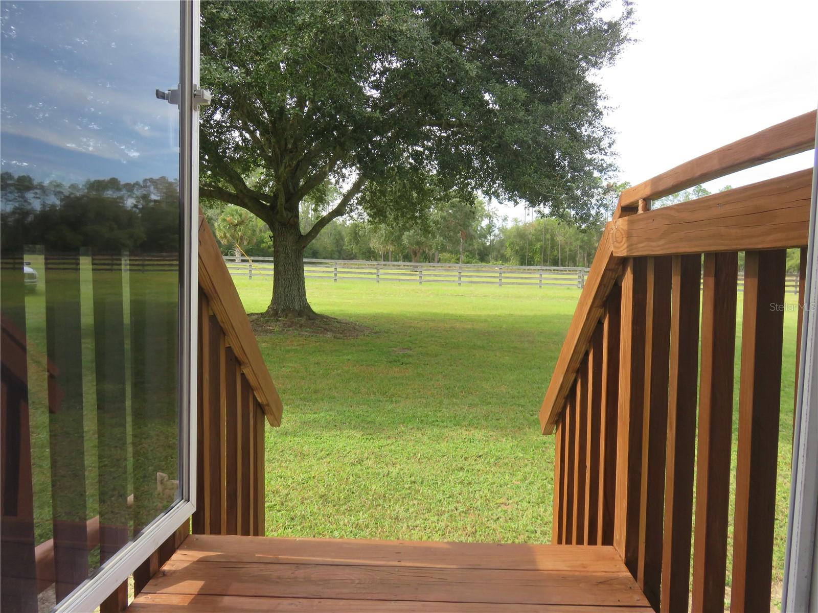 Image 19 of 54 For 40220 Bowtie Drive