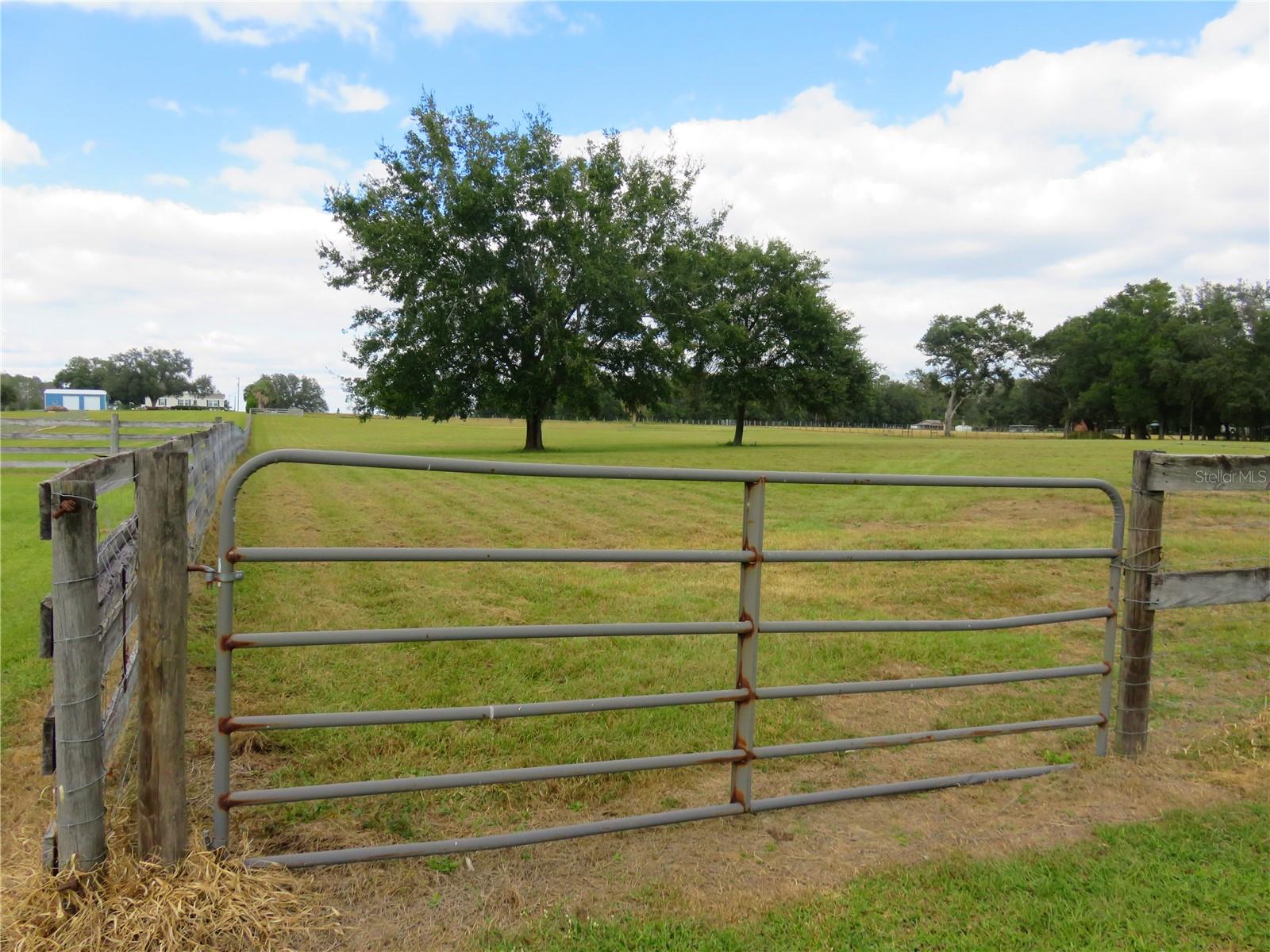 Image 23 of 54 For 40220 Bowtie Drive