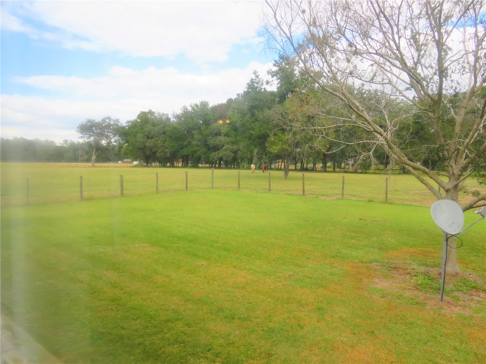 Image 44 of 54 For 40220 Bowtie Drive