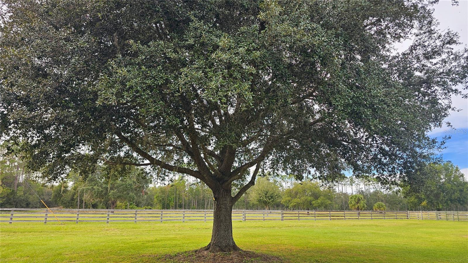 Image 45 of 54 For 40220 Bowtie Drive